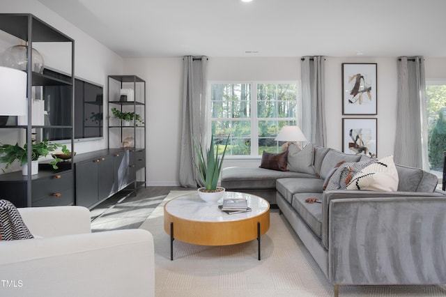 living room featuring light hardwood / wood-style floors