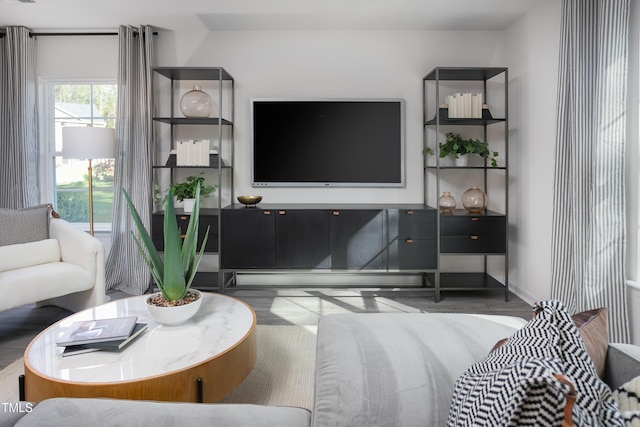 living room featuring hardwood / wood-style floors