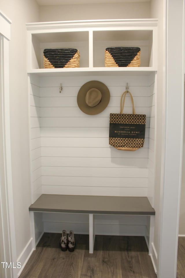 mudroom featuring dark wood-type flooring