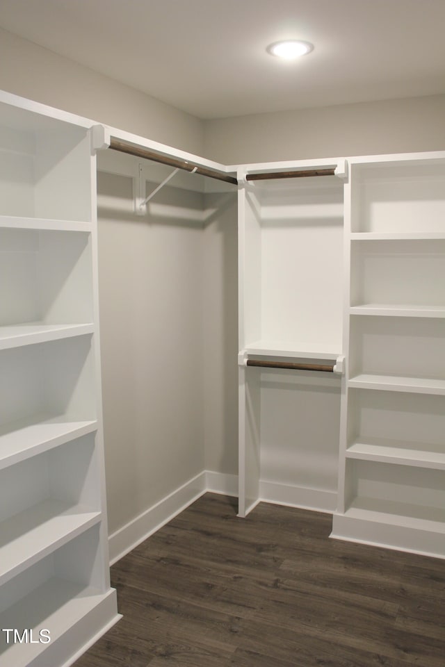 spacious closet featuring dark hardwood / wood-style flooring