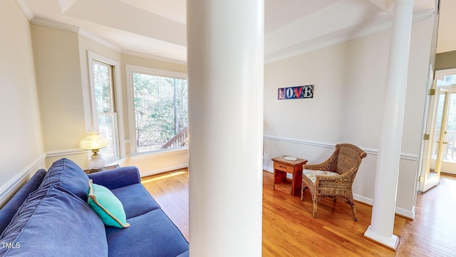 living room featuring ornate columns, light wood-type flooring, and a tray ceiling