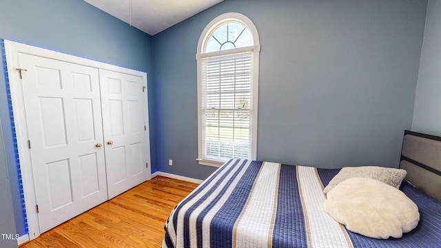 bedroom featuring wood-type flooring and a closet