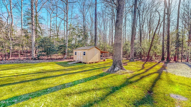 view of yard with a storage unit