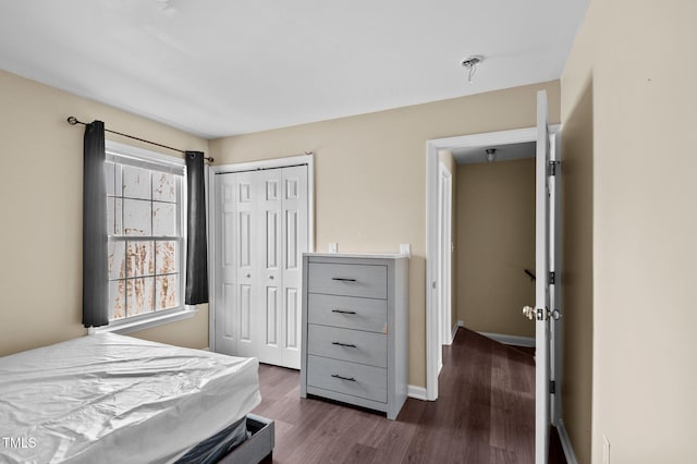 bedroom with dark hardwood / wood-style flooring and a closet