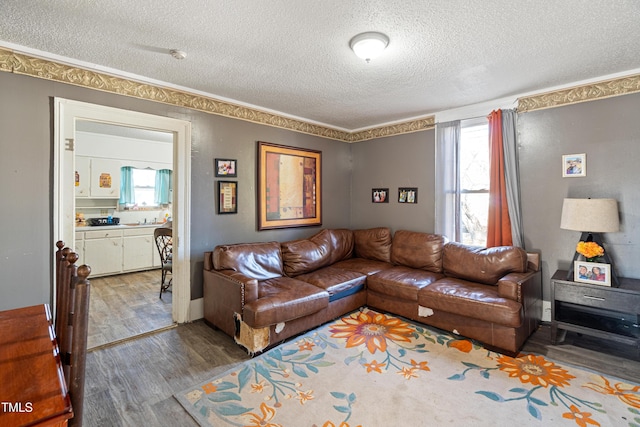 living room with hardwood / wood-style floors, plenty of natural light, and a textured ceiling