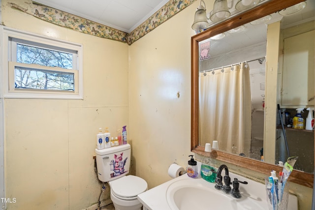 bathroom featuring vanity, a shower with curtain, and toilet