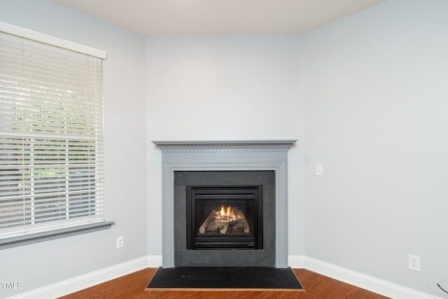 detailed view of wood finished floors, baseboards, and a fireplace with flush hearth