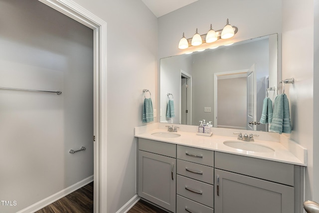 bathroom with vanity and wood-type flooring