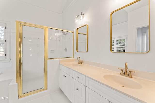 full bathroom featuring a sink, a wealth of natural light, and a shower stall