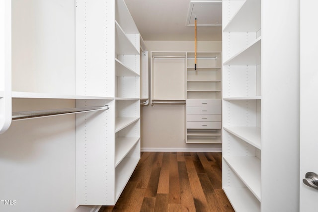 spacious closet with attic access and dark wood-type flooring