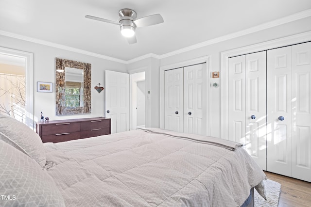 bedroom with ceiling fan, light hardwood / wood-style flooring, ornamental molding, and multiple closets