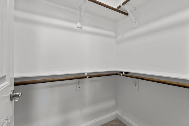 spacious closet with carpet flooring