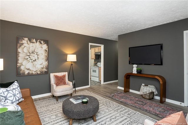 living room featuring hardwood / wood-style floors and a textured ceiling