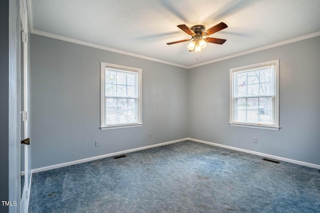 carpeted empty room featuring crown molding, a wealth of natural light, and a textured ceiling