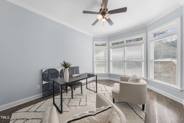 office space with baseboards, dark wood-type flooring, and ornamental molding