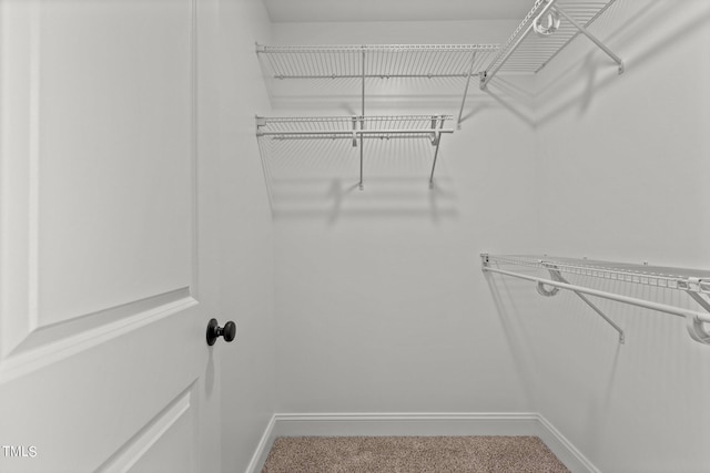 walk in closet with carpet