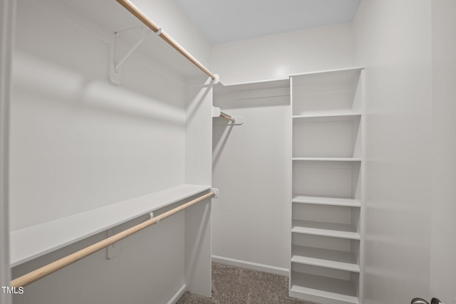 4519 Sweet Williams Ln Unit 153, Wilson, NC 27896 - photo 12