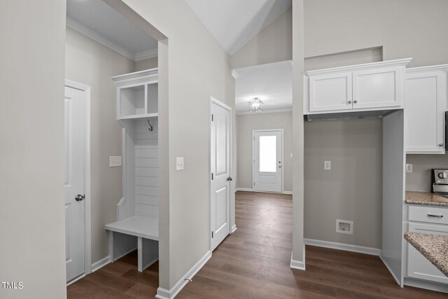 4519 Sweet Williams Ln Unit 153, Wilson, NC 27896 - mudroom featuring lofted ceiling and dark wood-type flooring