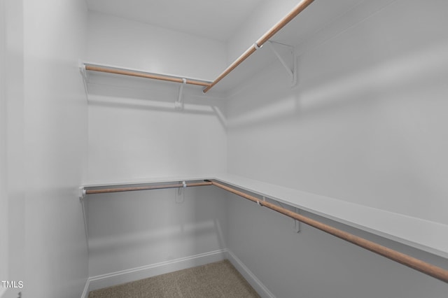 4522 Sweet Williams Ln Unit 163, Wilson, NC 27896 - spacious closet featuring carpet