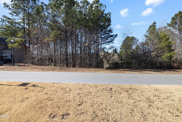 Listing photo 3 for 85 Point View Way, Franklinton NC 27525