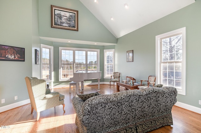 living room with high vaulted ceiling and light hardwood / wood-style floors