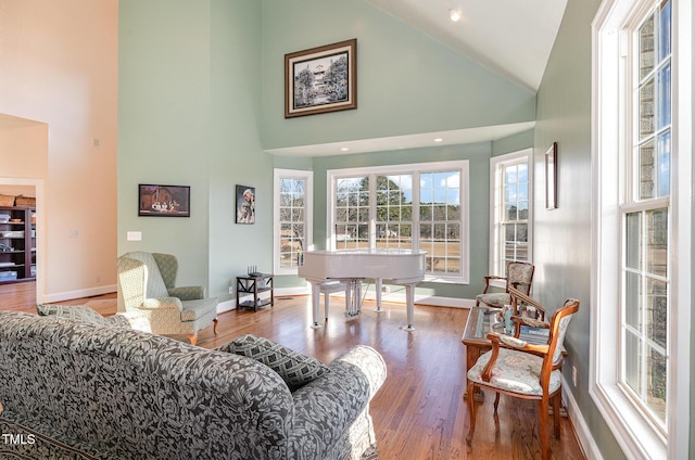 living room with wood-type flooring and high vaulted ceiling