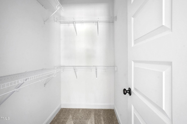 spacious closet with carpet