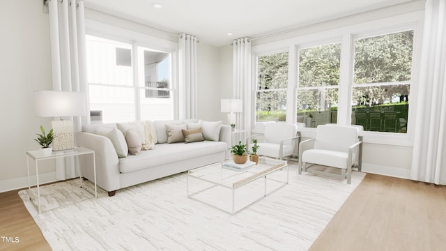 living room with wood-type flooring