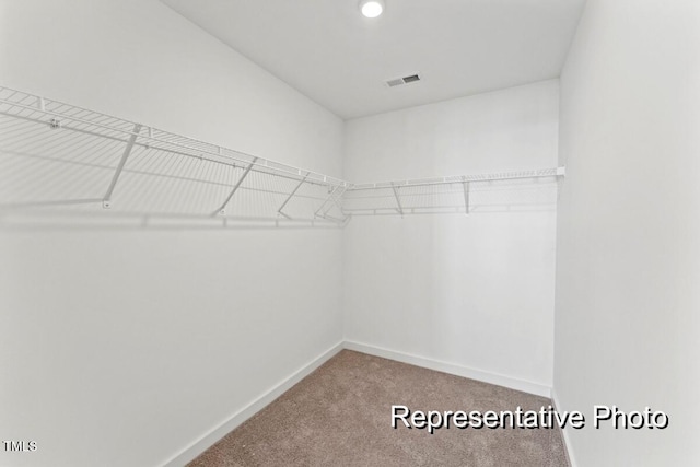 walk in closet featuring carpet flooring