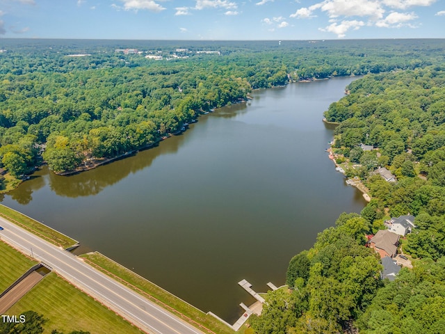 birds eye view of property featuring a view of trees and a water view