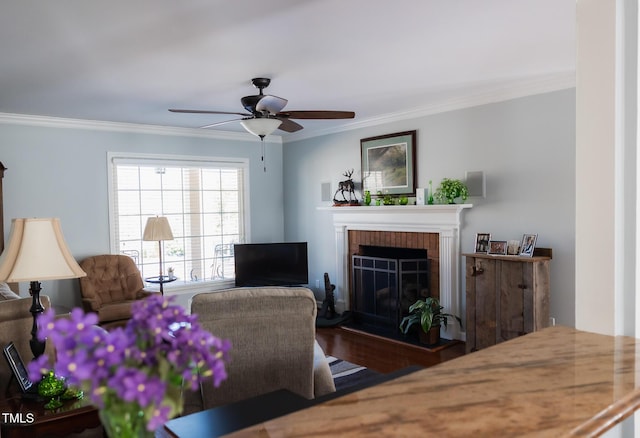 living room with crown molding, ceiling fan, a fireplace, and dark wood-type flooring