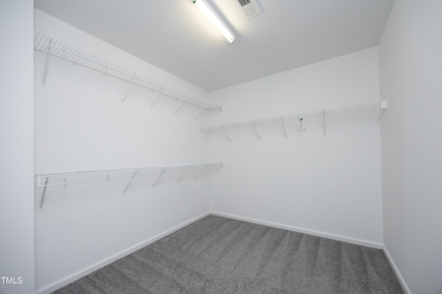 walk in closet with carpet flooring