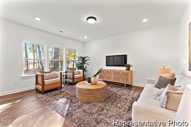 living room featuring wood-type flooring