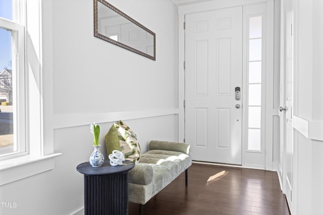 foyer with dark wood-type flooring