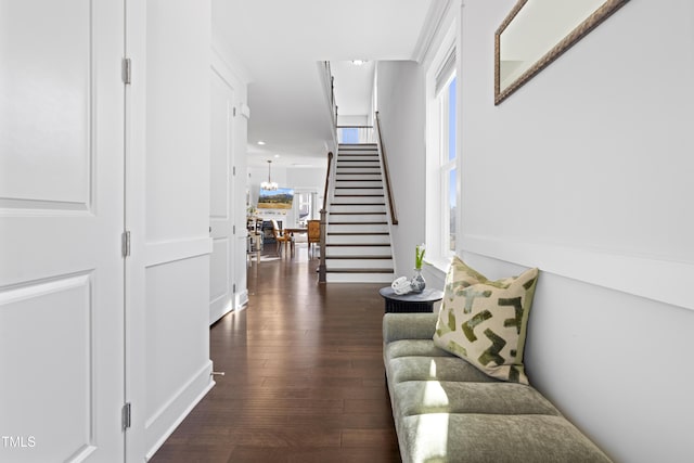 stairway with hardwood / wood-style flooring