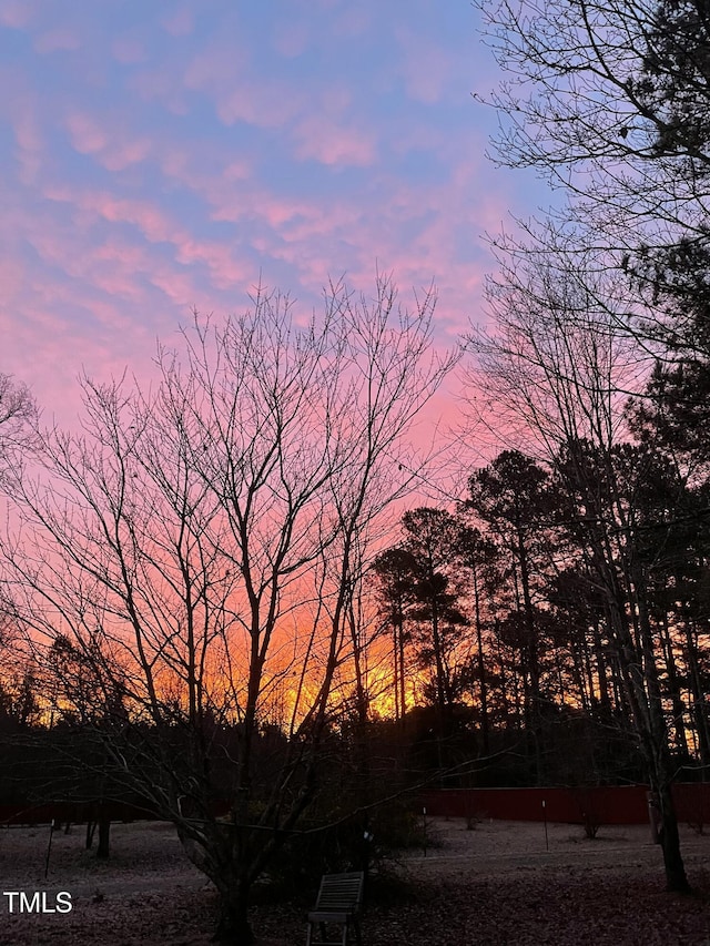 view of nature at dusk