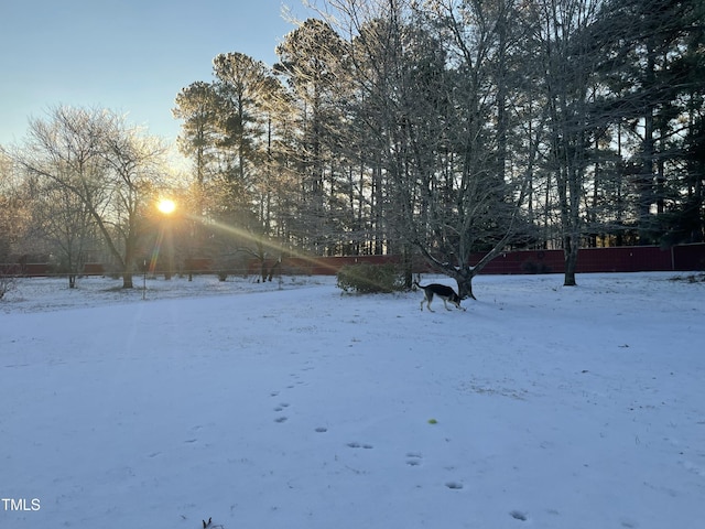 view of yard covered in snow