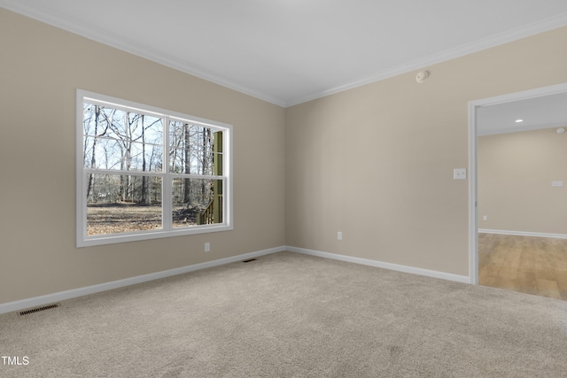 empty room featuring carpet floors and ornamental molding