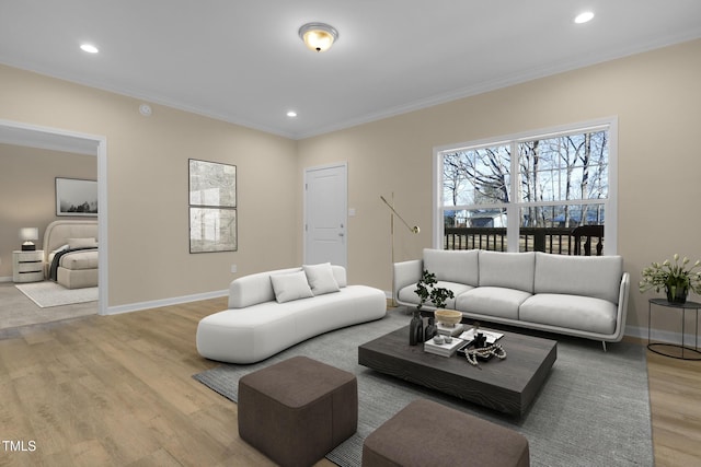 living room featuring light hardwood / wood-style floors and crown molding