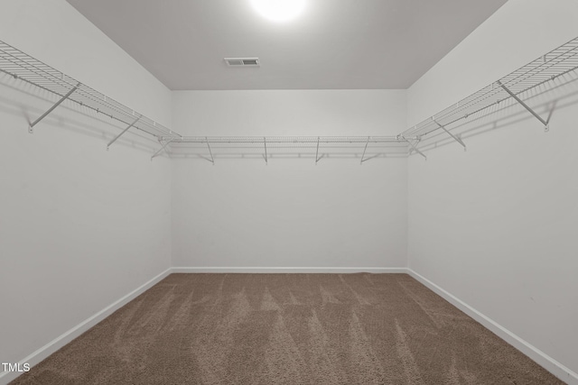 walk in closet featuring carpet