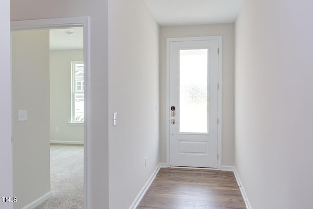 doorway featuring hardwood / wood-style flooring and a wealth of natural light