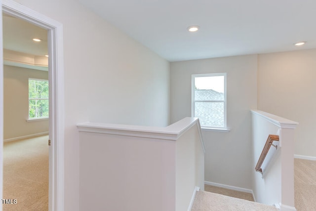 stairs with carpet floors