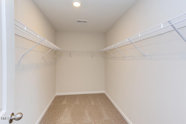 walk in closet with carpet