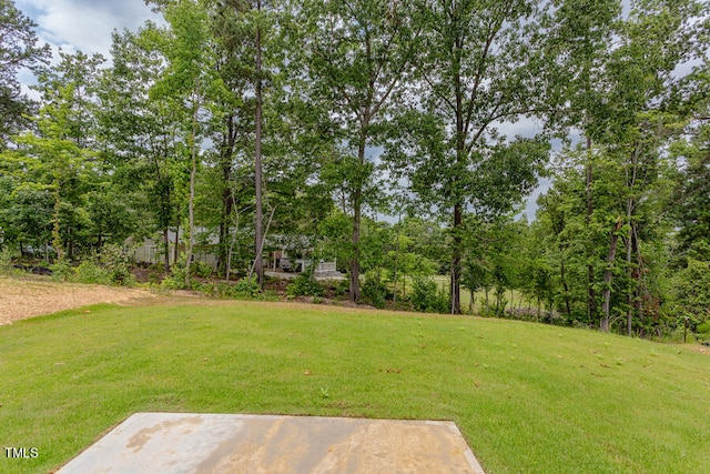 view of yard with a patio