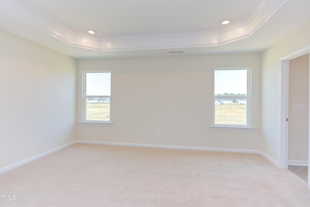 empty room with ornamental molding, light colored carpet, and a tray ceiling