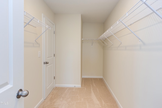 walk in closet with light carpet