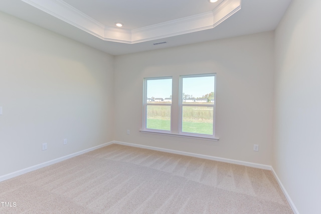 spare room featuring a raised ceiling, crown molding, and carpet floors