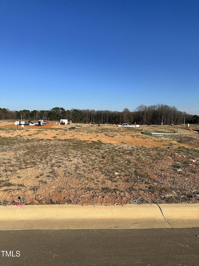 view of yard with a rural view