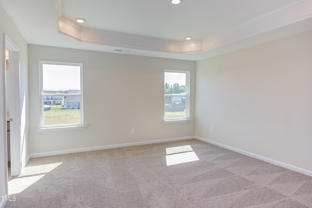 carpeted empty room with crown molding and a raised ceiling