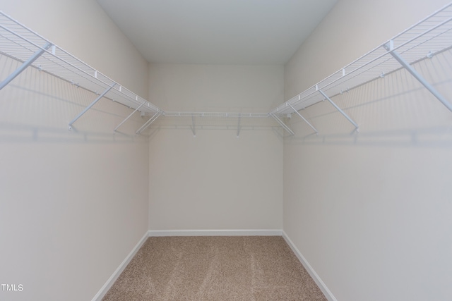 walk in closet with carpet